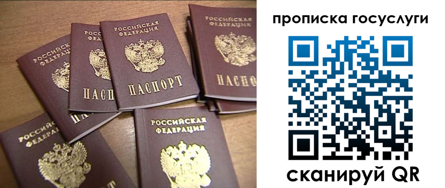 прописка ребенка в Новозыбкове
